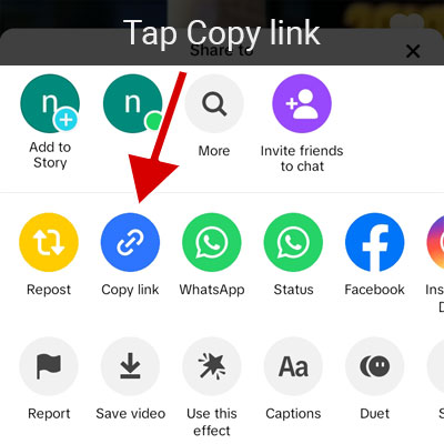 Tap on the Copy Link